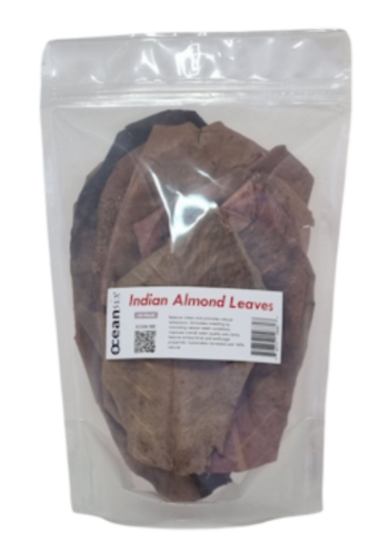 Indian Almond Leaves (Large) – 10 Pack